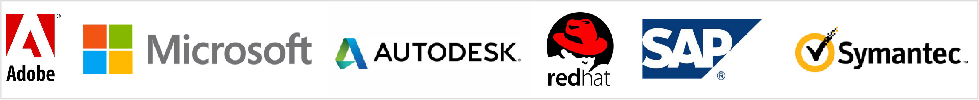 IT & Software Industry Translation Services